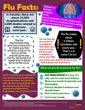 Flu Facts Infographic